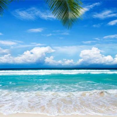 香港最准资料免费公开