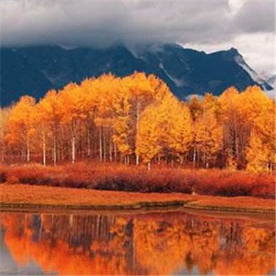 安博体育最新登录地址